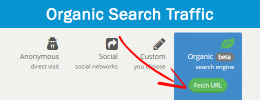 Organic search traffic